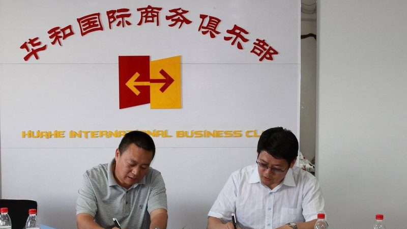 股权设计方案定制：常见型号规格解析**