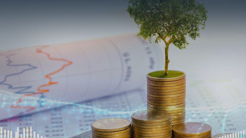 在选择咨询公司时，要注意避免以下话术禁忌：